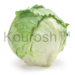 Lettuce - Iceburg, Cello
