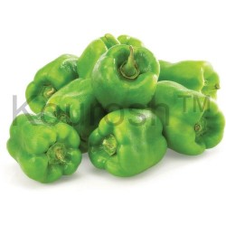 Peppers - Green Bell
