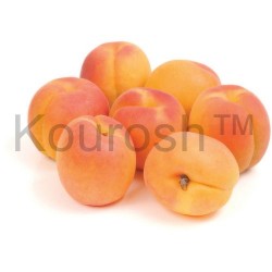 Apricots - Fresh