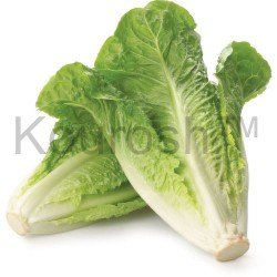 Lettuce - Romaine, Fresh