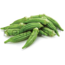 Okra - Extra Fancy, Fresh