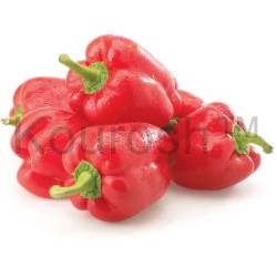Peppers - Red Bell, Hot House