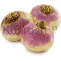Turnips - Purple Top, Fresh