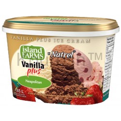 Vanilla Plus Ice Cream | Neapolitan بستنی