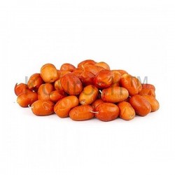 Russian Olive (سنجد)