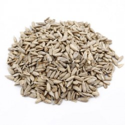 Sunflower Seeds Kernels 