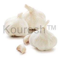 Garlic - White