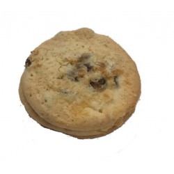 cookie with raisins (شیرینی کشمشی)
